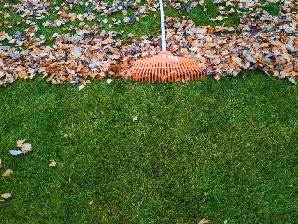fall lawn care